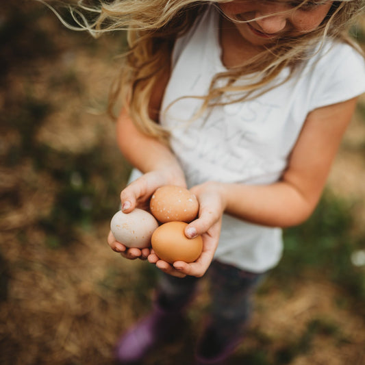 Farm Fresh Eggs - One Dozen